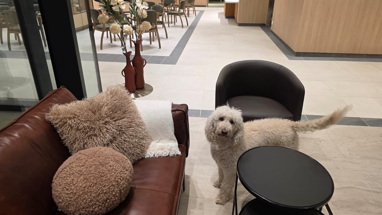 הבית בגבעה – ברחובות